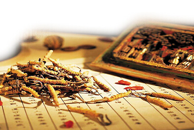 GA黄金甲(中国游)最新官方网站