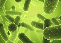 GA黄金甲将加入2013年欧洲生物春季展会