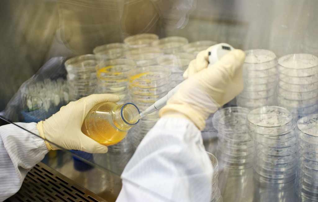 GA黄金甲(中国游)最新官方网站