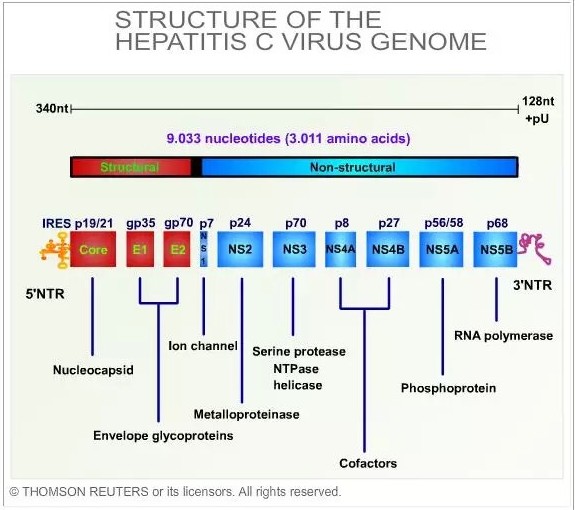 GA黄金甲(中国游)最新官方网站