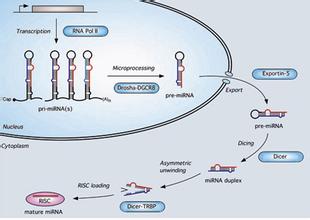 GA黄金甲(中国游)最新官方网站