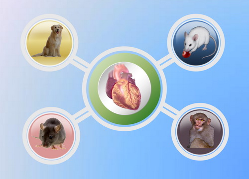 GA黄金甲(中国游)最新官方网站