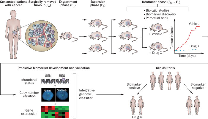 GA黄金甲(中国游)最新官方网站