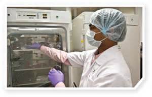 12月20日，，，GA黄金甲与宣泰医药签署战略相助协议