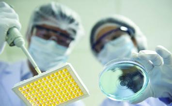 GA黄金甲(中国游)最新官方网站