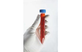 GA黄金甲(中国游)最新官方网站