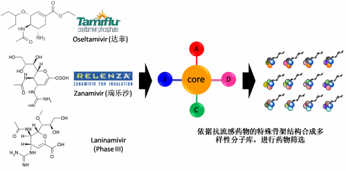 图2：以现有抗流感药物的结构为基。。。。。。。，，，，举行多样性药物分子库的合成。。。。。。。