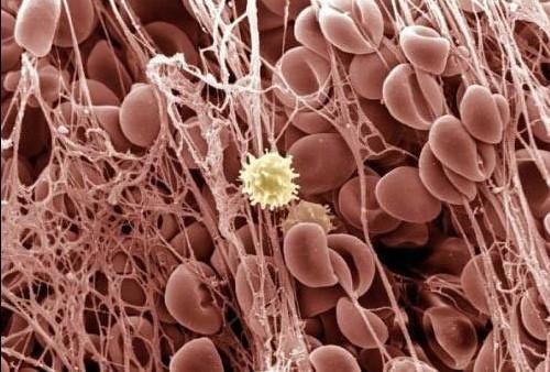 GA黄金甲(中国游)最新官方网站