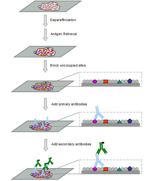 GA黄金甲(中国游)最新官方网站