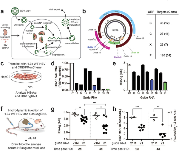 GA黄金甲(中国游)最新官方网站
