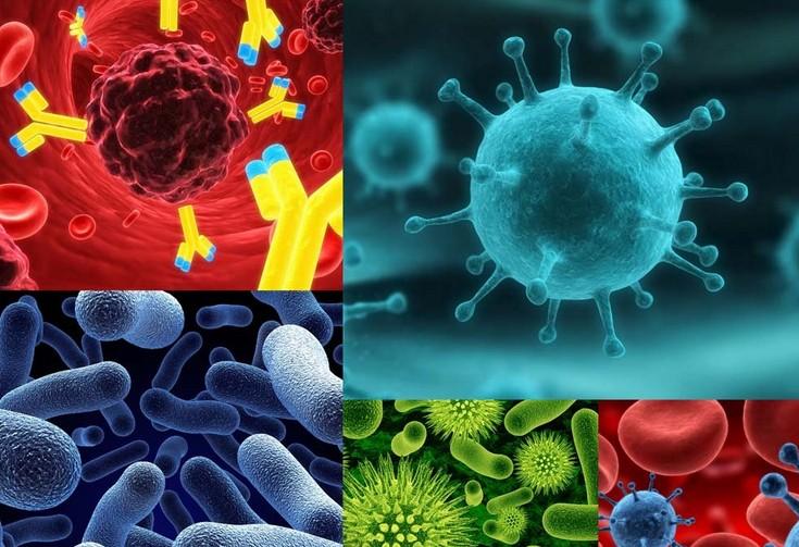 GA黄金甲(中国游)最新官方网站