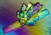 PD-1抑制剂成“抗癌神器”，，，海内外企业希望怎样？？？