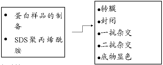 GA黄金甲(中国游)最新官方网站
