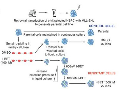 GA黄金甲(中国游)最新官方网站