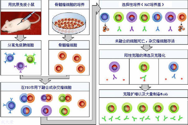 GA黄金甲(中国游)最新官方网站