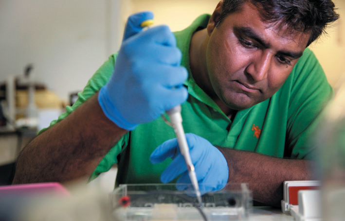 GA黄金甲(中国游)最新官方网站