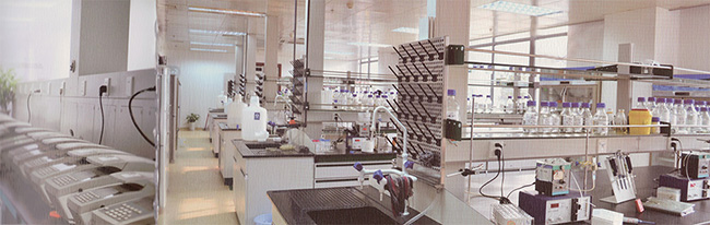 GA黄金甲(中国游)最新官方网站