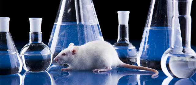 GA黄金甲(中国游)最新官方网站