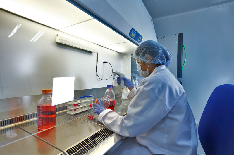 2015年药品特殊审评数据剖析：哪些新药搭上了快车？？？？