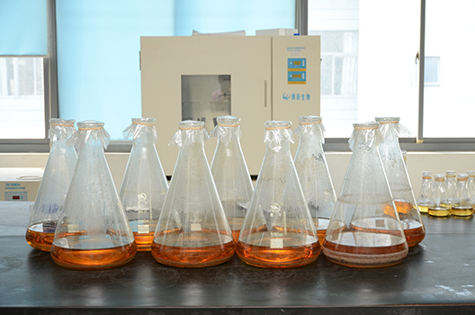 GA黄金甲制剂中心GMP中试车间完工