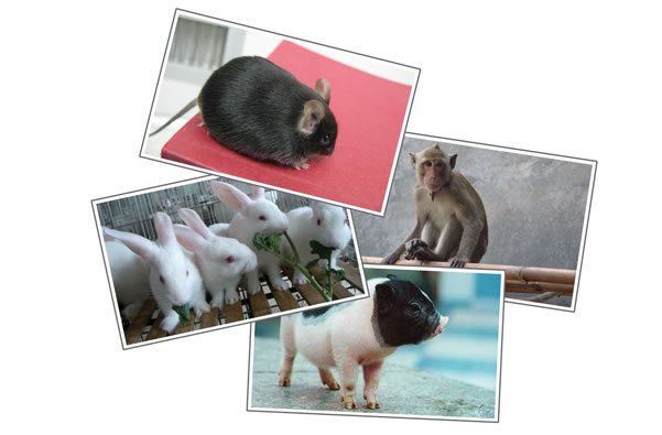 GA黄金甲(中国游)最新官方网站