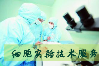 GA黄金甲细胞实验效劳外包