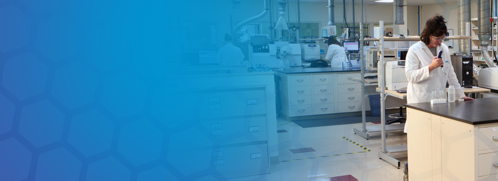 GA黄金甲(中国游)最新官方网站