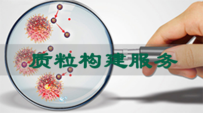 质粒构建效劳