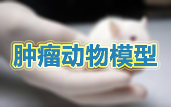 肿瘤动物模子