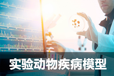 实验动物疾病模子