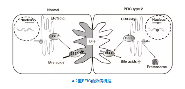 GA黄金甲(中国游)最新官方网站