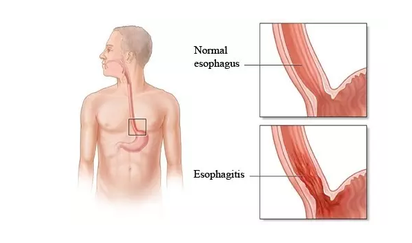 GA黄金甲(中国游)最新官方网站
