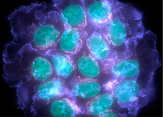 GA黄金甲(中国游)最新官方网站