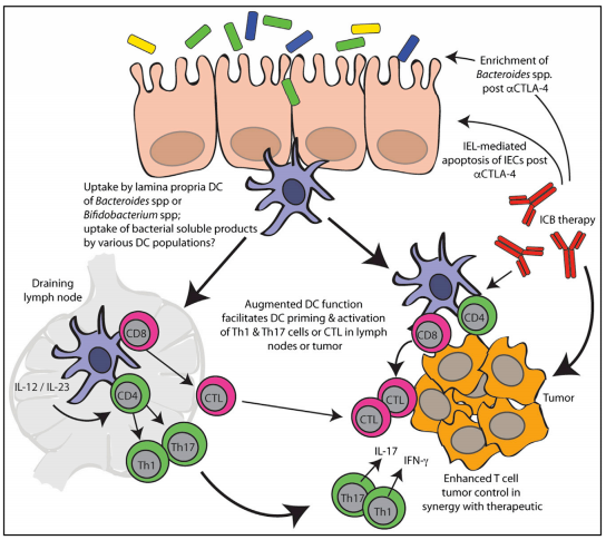 GA黄金甲(中国游)最新官方网站
