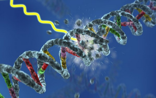 GA黄金甲(中国游)最新官方网站