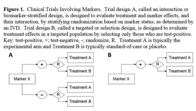 GA黄金甲(中国游)最新官方网站
