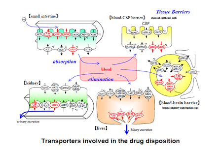 GA黄金甲(中国游)最新官方网站