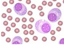 GA黄金甲(中国游)最新官方网站