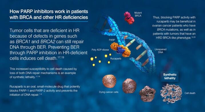 GA黄金甲(中国游)最新官方网站