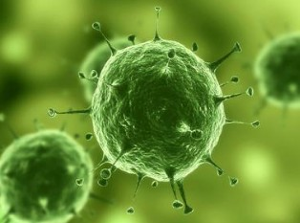 Nature：治疗实体瘤有了明确靶标，，，，，肿瘤干细胞确实保存