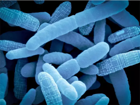 GA黄金甲(中国游)最新官方网站