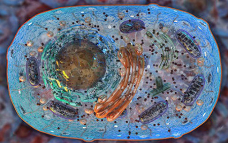 GA黄金甲(中国游)最新官方网站