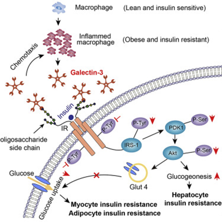 GA黄金甲(中国游)最新官方网站