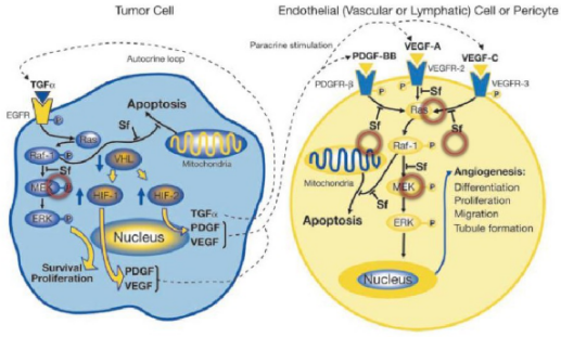 GA黄金甲(中国游)最新官方网站