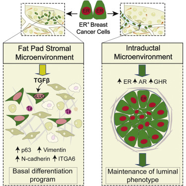 GA黄金甲(中国游)最新官方网站