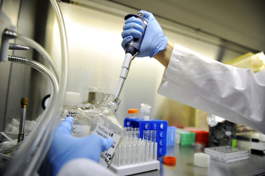 一致性评价需要遵照哪些手艺指导原则以及手艺要求？？？？？？？