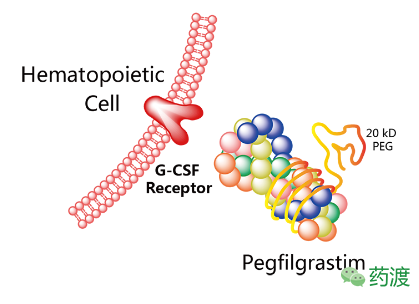 GA黄金甲(中国游)最新官方网站