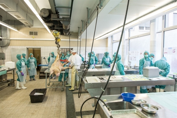 专利悬崖到来，，，骨质松散症药物新药研发战况怎样？？？？？？