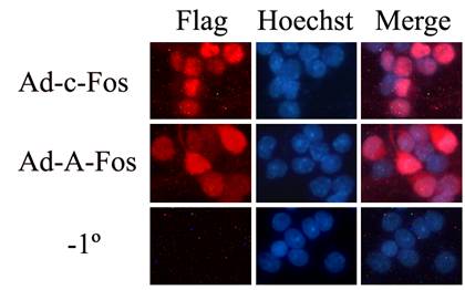 GA黄金甲(中国游)最新官方网站