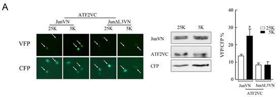 GA黄金甲(中国游)最新官方网站